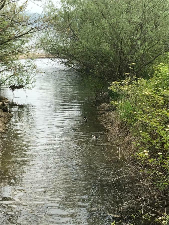 Pp-Camping Wallersee Seekirchen am Wallersee Zewnętrze zdjęcie