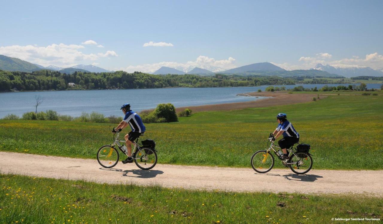 Pp-Camping Wallersee Seekirchen am Wallersee Zewnętrze zdjęcie