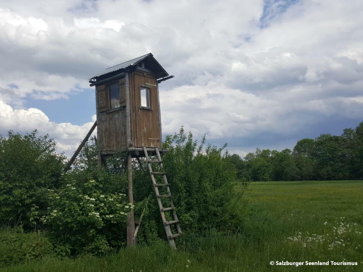 Pp-Camping Wallersee Seekirchen am Wallersee Zewnętrze zdjęcie